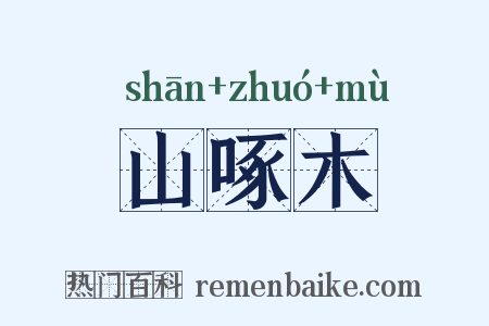 山啄木是什么意思的图片